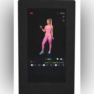 Echelon Reflect 40” Mirror For Sale *BNIB*